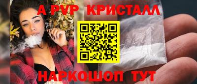 стаф Будённовск