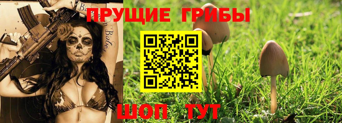 Галлюциногенные грибы Magic Shrooms  Вход с VPN  Подольск 